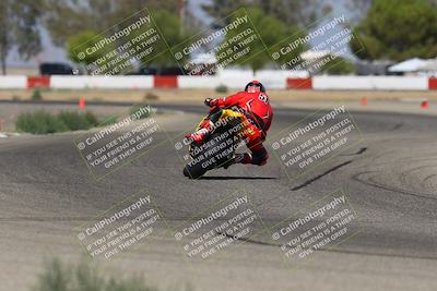 media/Sep-07-2025-Pacific Track Time (Sun) [[a6322260b9]]/A and B Group/Wheelie Bump A and B/